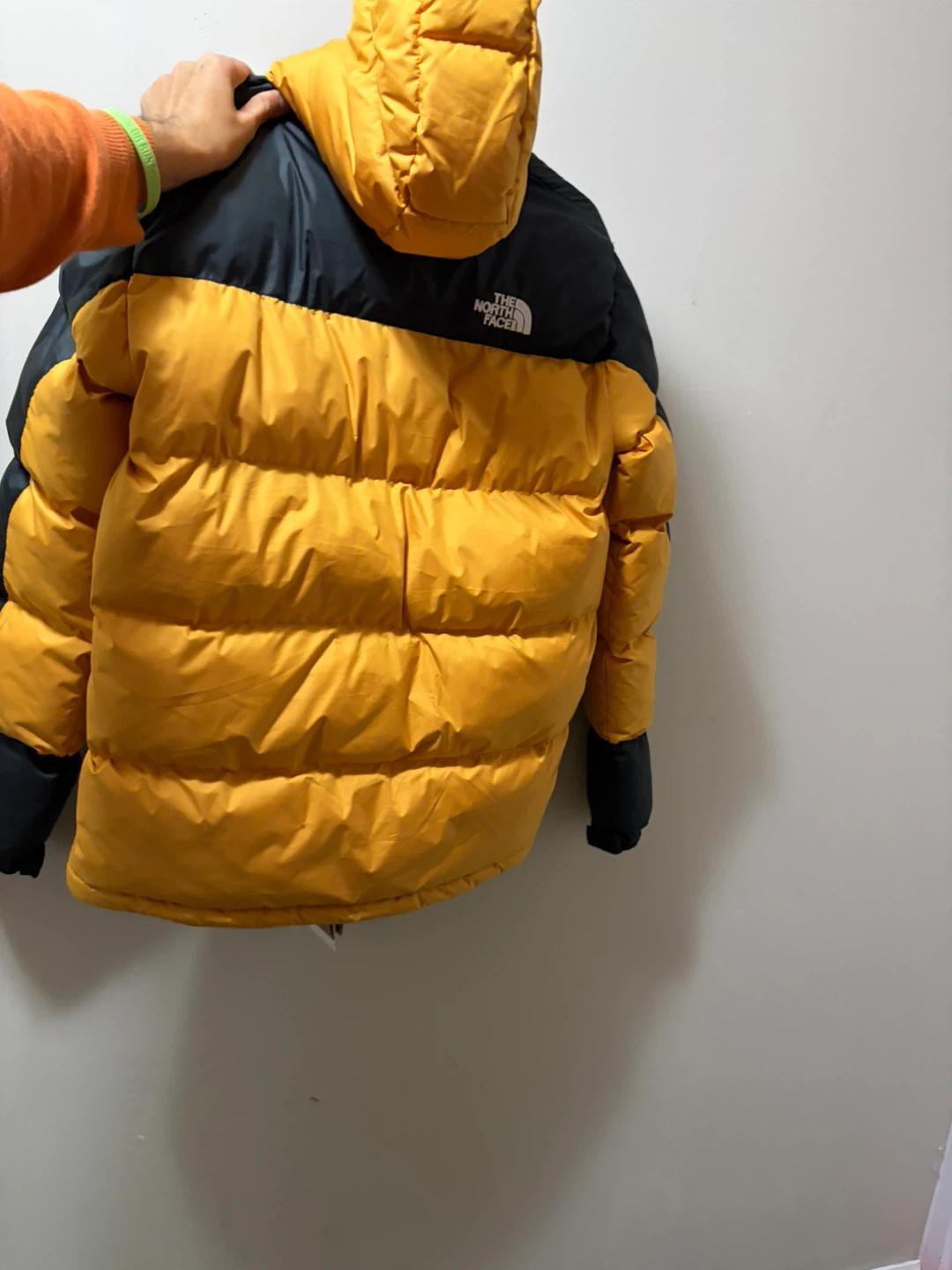 New The North Face 550 Down Jacket - photo 2