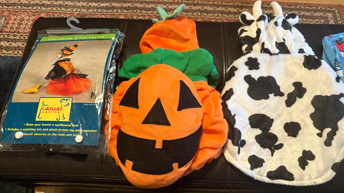 Lot of Assorted dog clothes and costumes XS and S