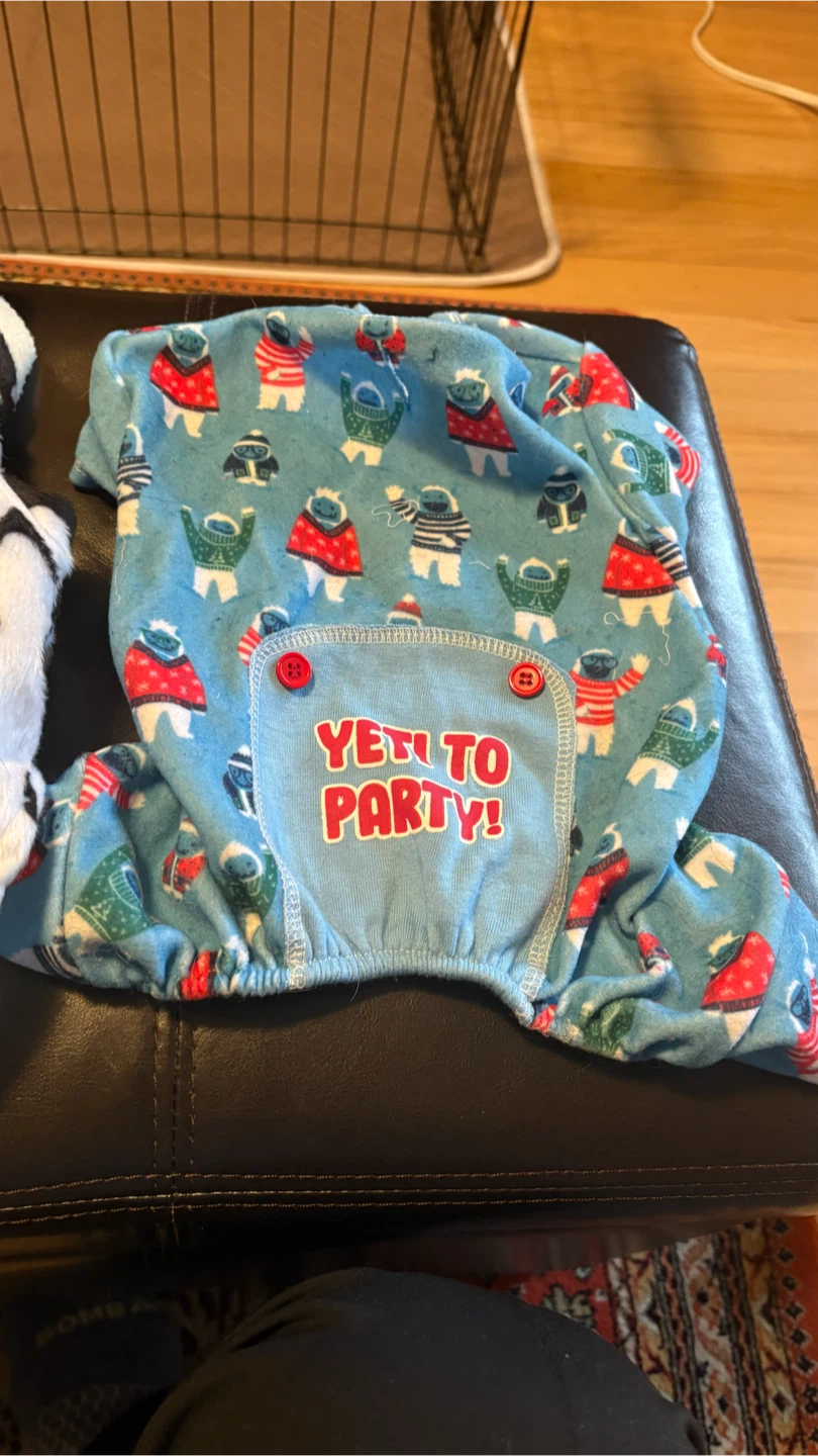 Lot of Assorted dog clothes and costumes XS and S - photo 2