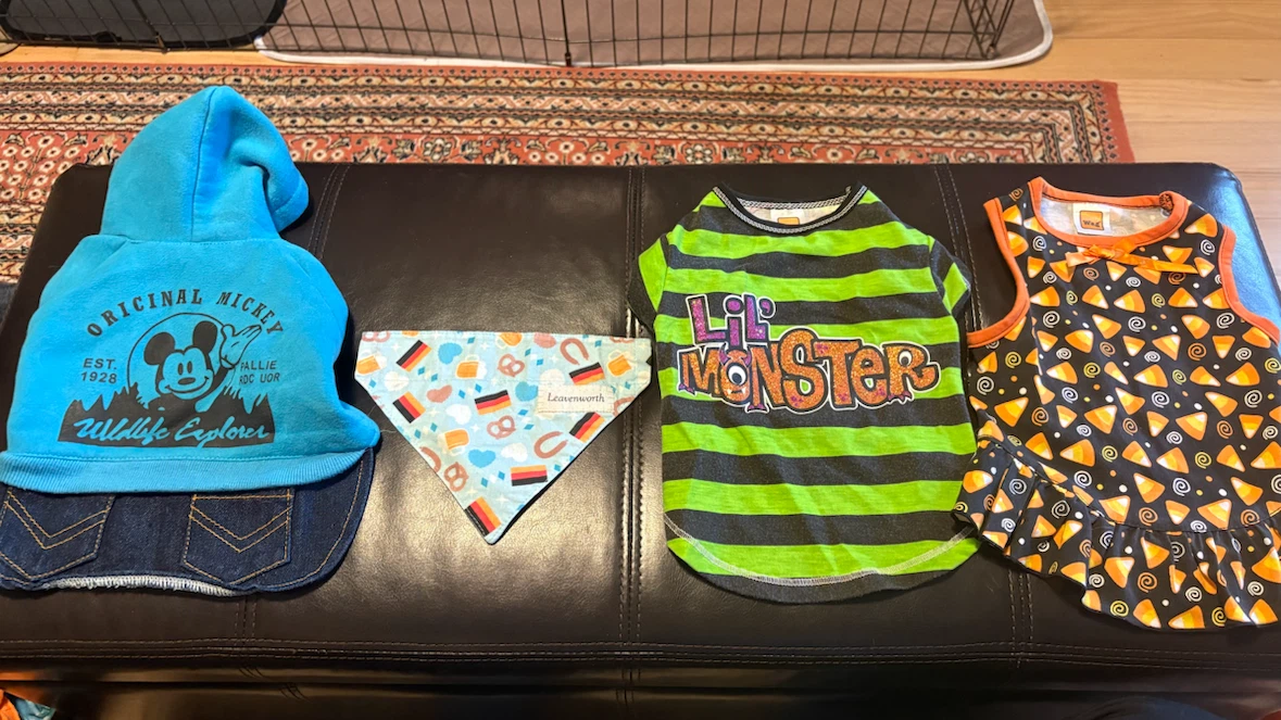 Lot of Assorted dog clothes and costumes XS and S - photo 3