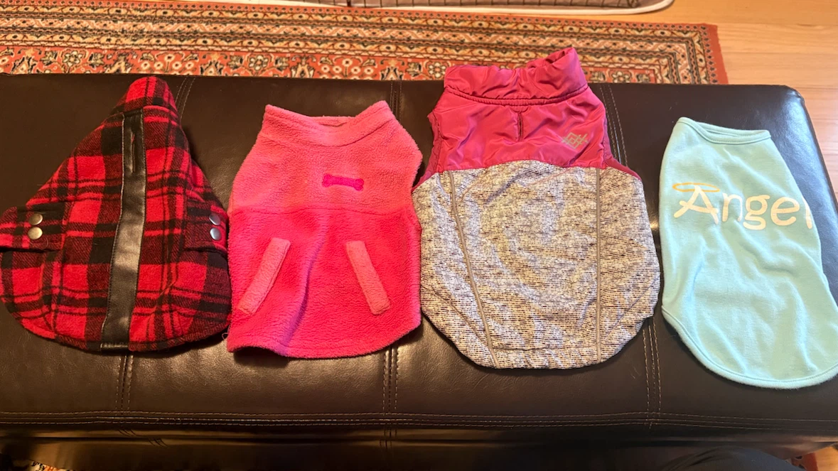 Lot of Assorted dog clothes and costumes XS and S - photo 4