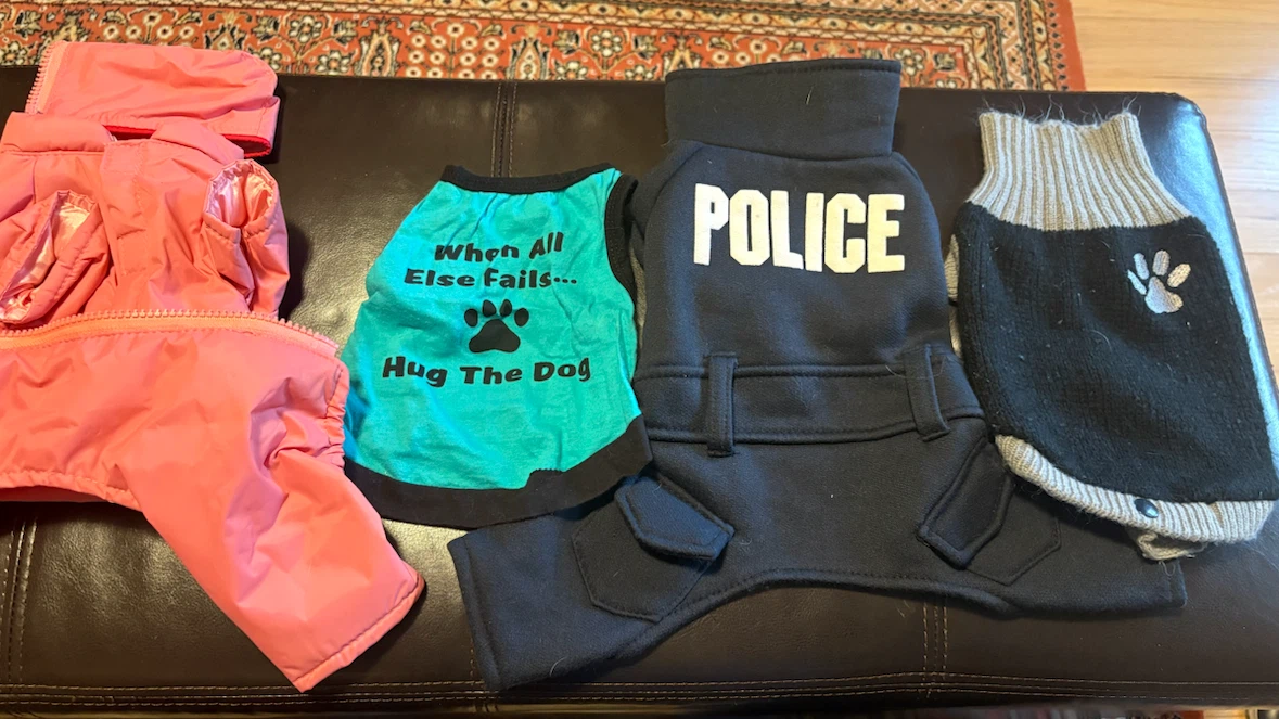 Lot of Assorted dog clothes and costumes XS and S - photo 5