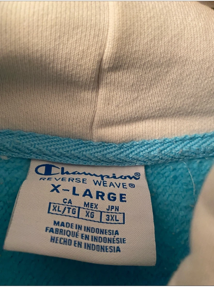 Men's XL Champion Colorblock Pullover Hoodie - photo 4