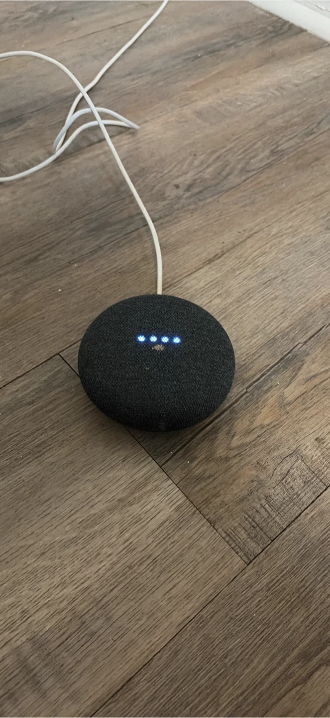 Google Nest Mini Smart Speaker