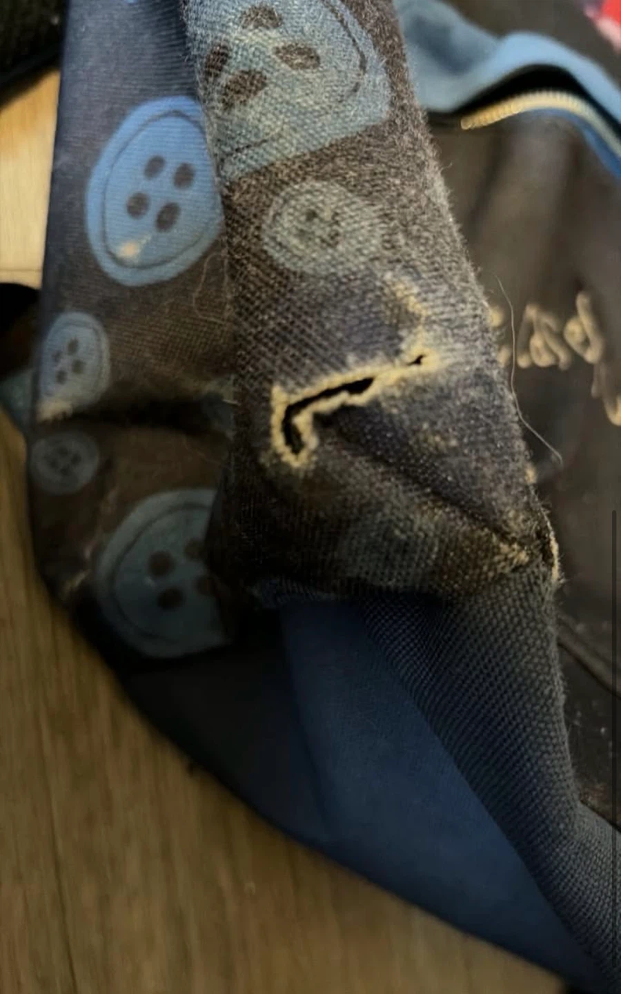 Loungefly Coraline Backpack - photo 2