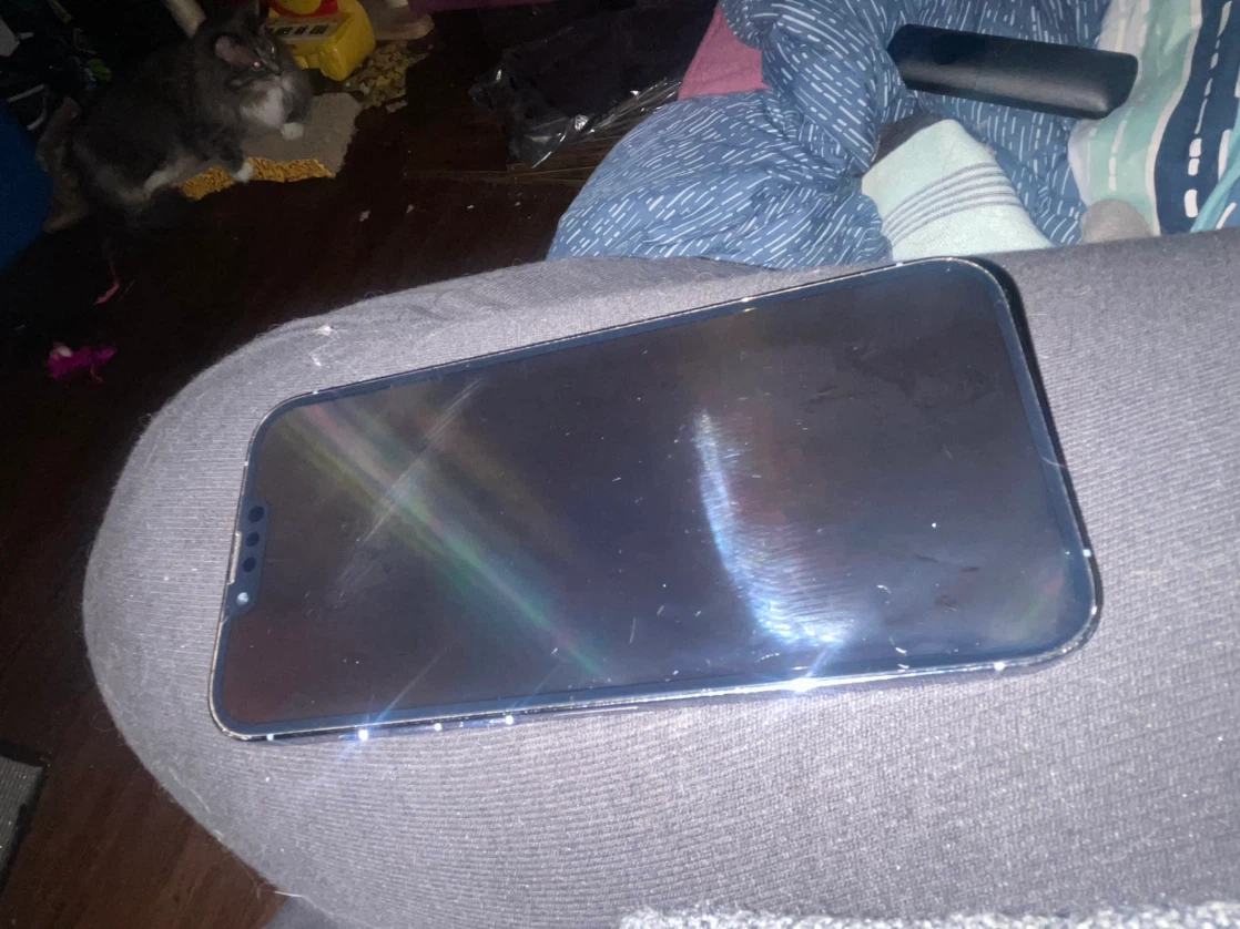 Apple iPhone 13 Pro - photo 2