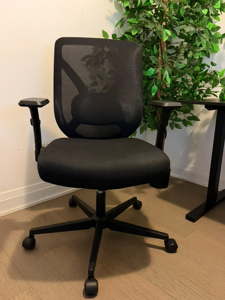 Black Ergonomic Mesh Office Chair