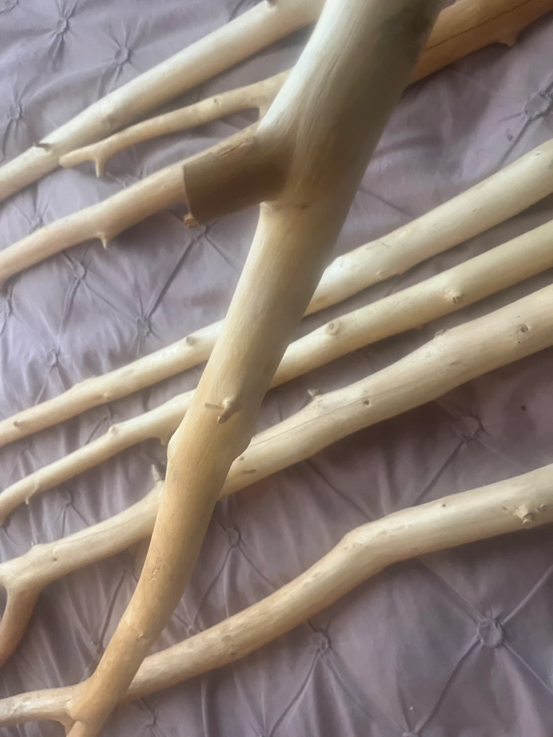 Natural Cedar wood - photo 2