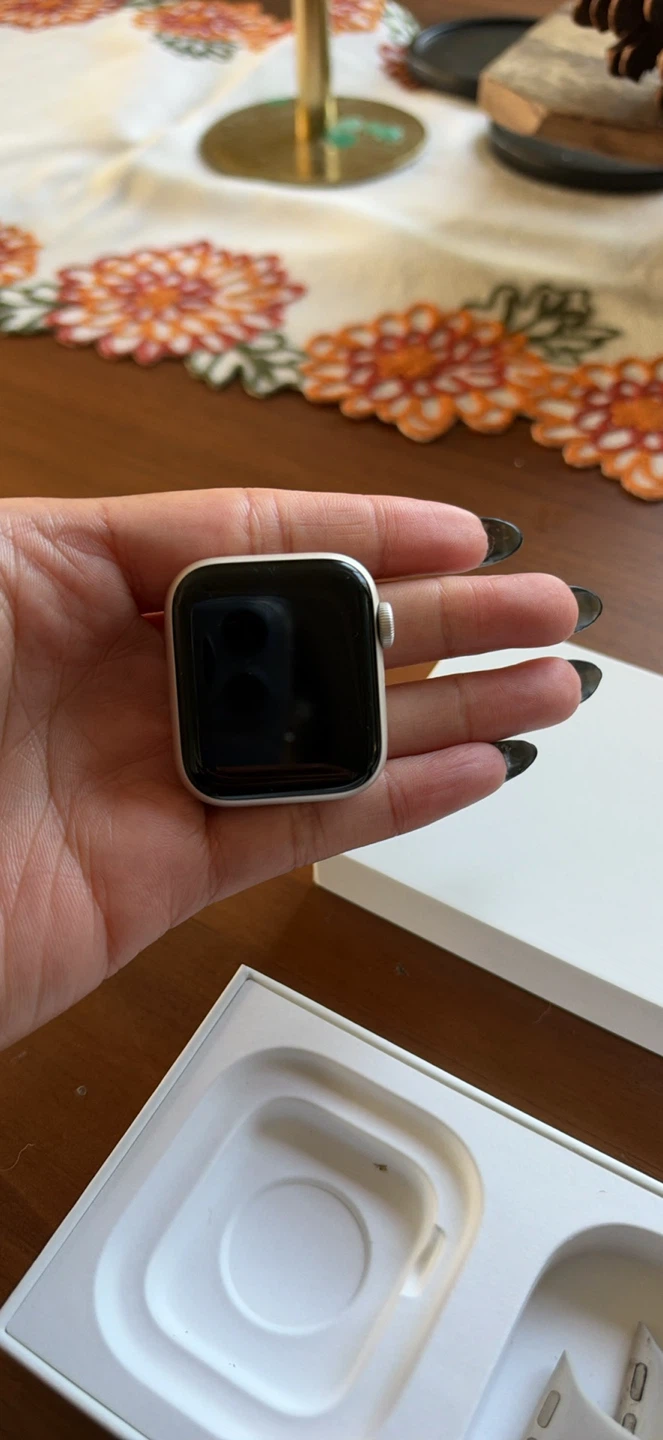 Apple Watch Silver Aluminum - SE