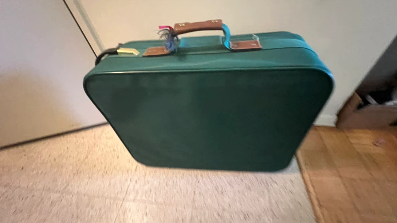 Delsey Vintage Green Suitcase-25” - photo 2