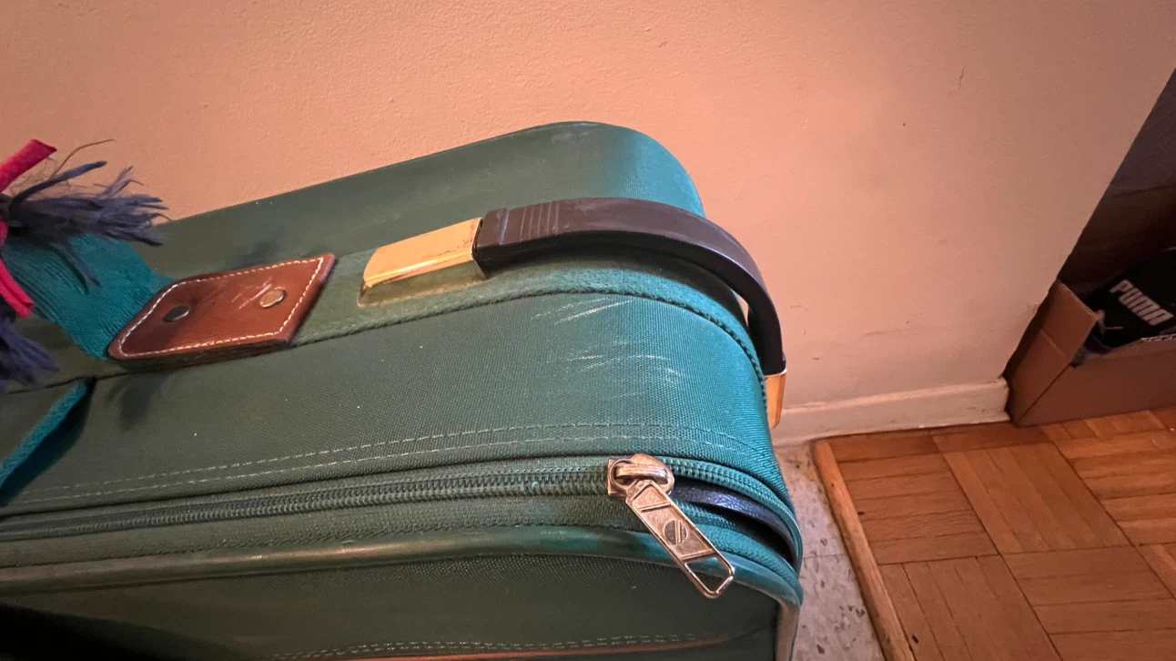 Delsey Vintage Green Suitcase-25” - photo 3