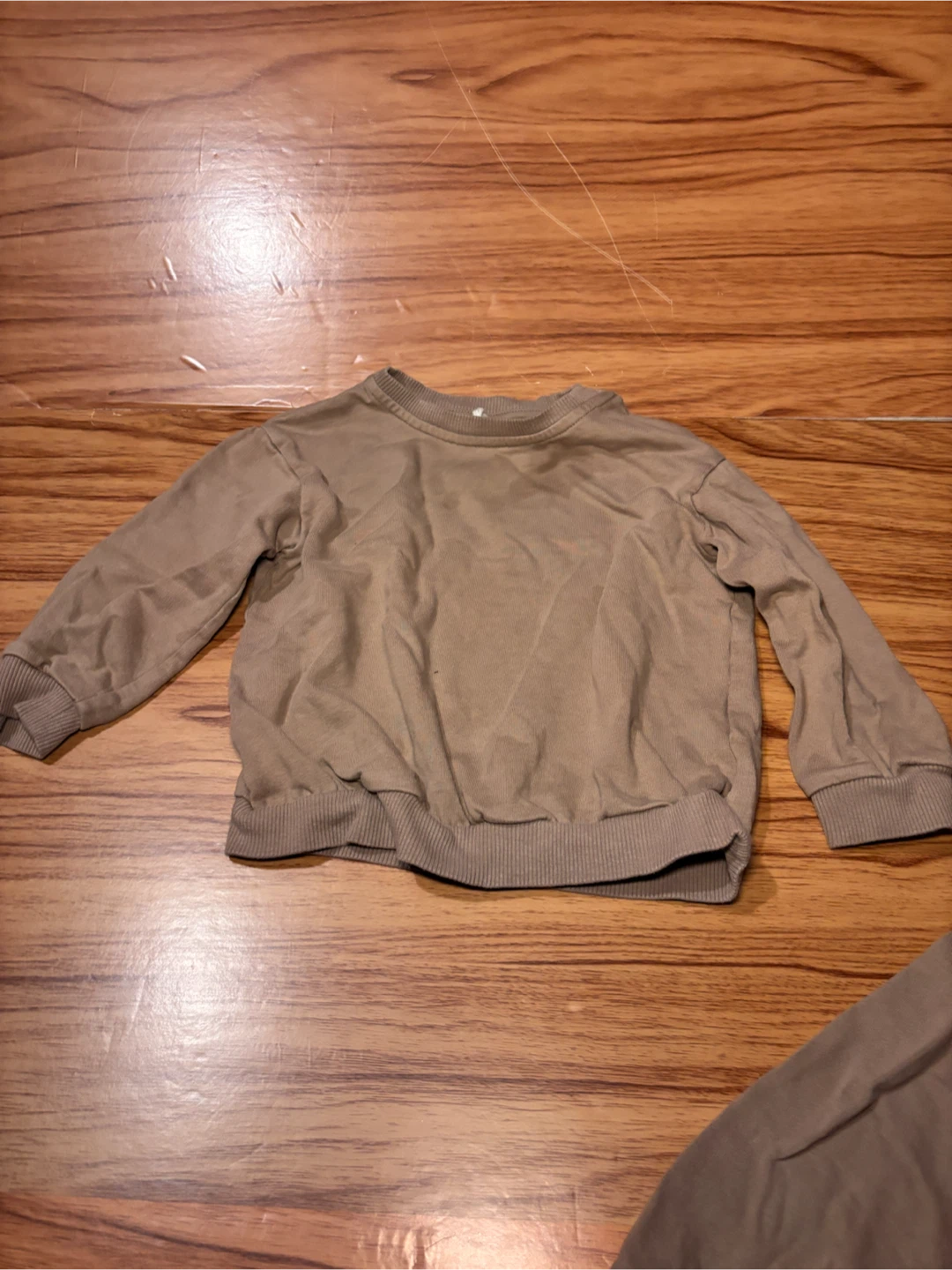 H&M Sweatshirt and Pants Set sz12-18 months - photo 2