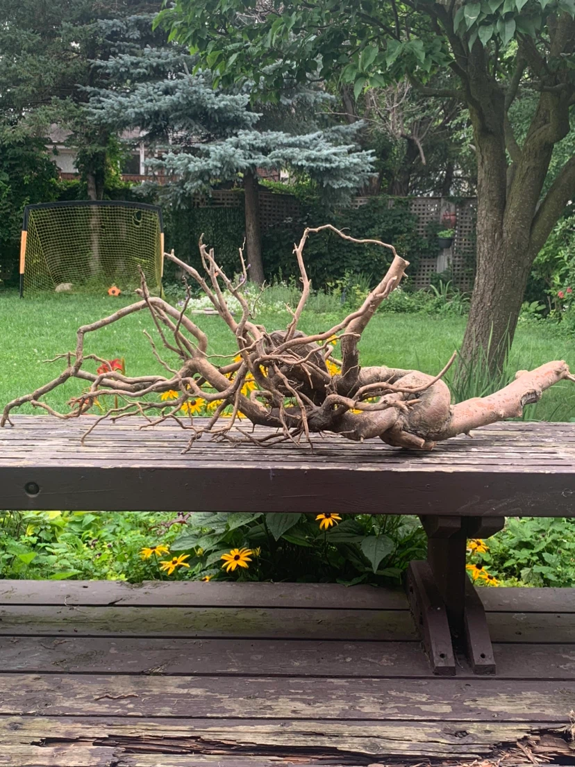 Large Aquarium Driftwood Piece