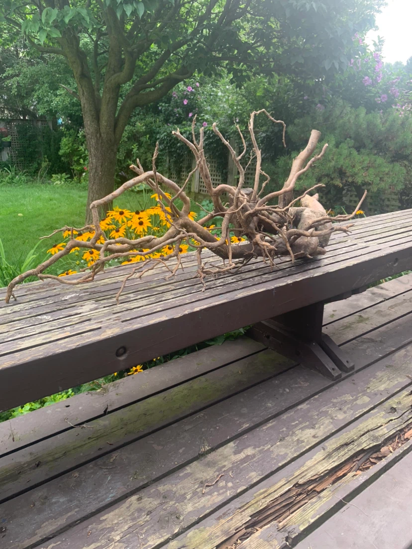 Large Aquarium Driftwood Piece - photo 2