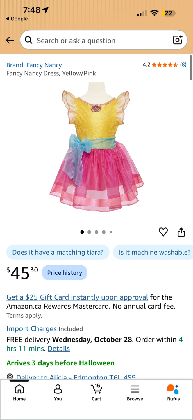 Jakks Pacific Fancy Nancy Dress