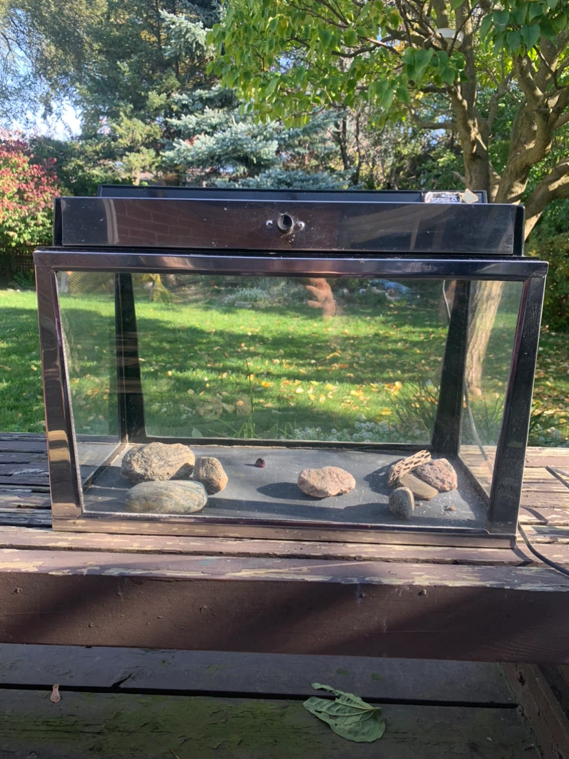Strait-A Glass Aquarium