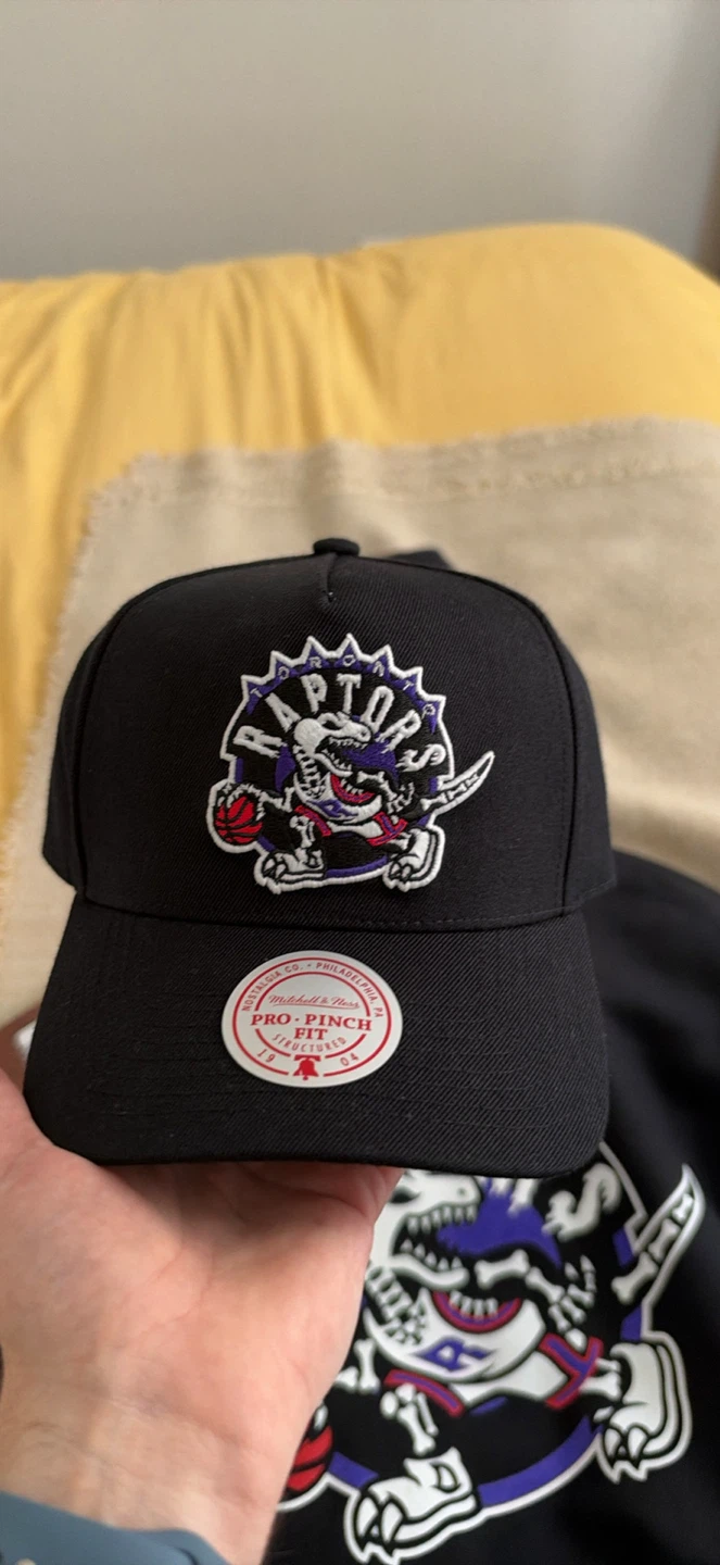 Raptors Halloween hat