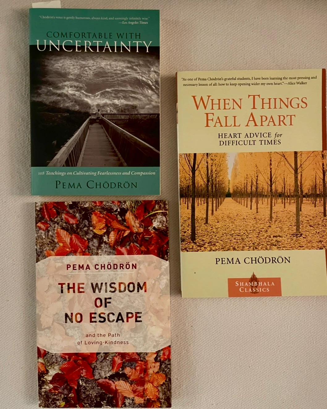 Pema Chodron Books Bundle Buddhist Philosophy and Spirituality