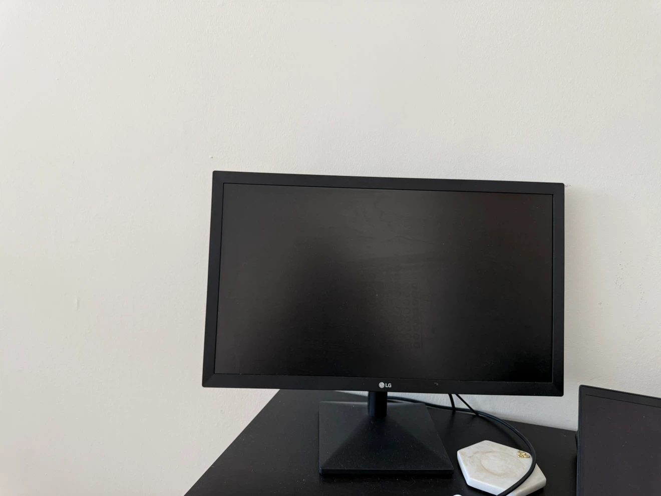 LG Computer Monitor