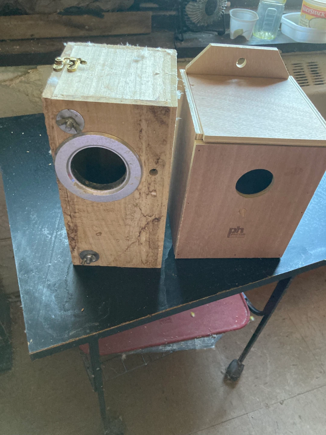 Bird nests