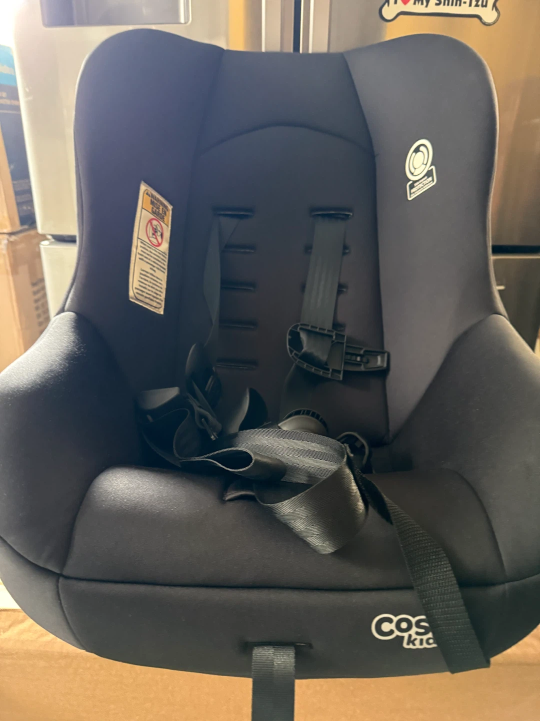 Cosco Kids Car Seat