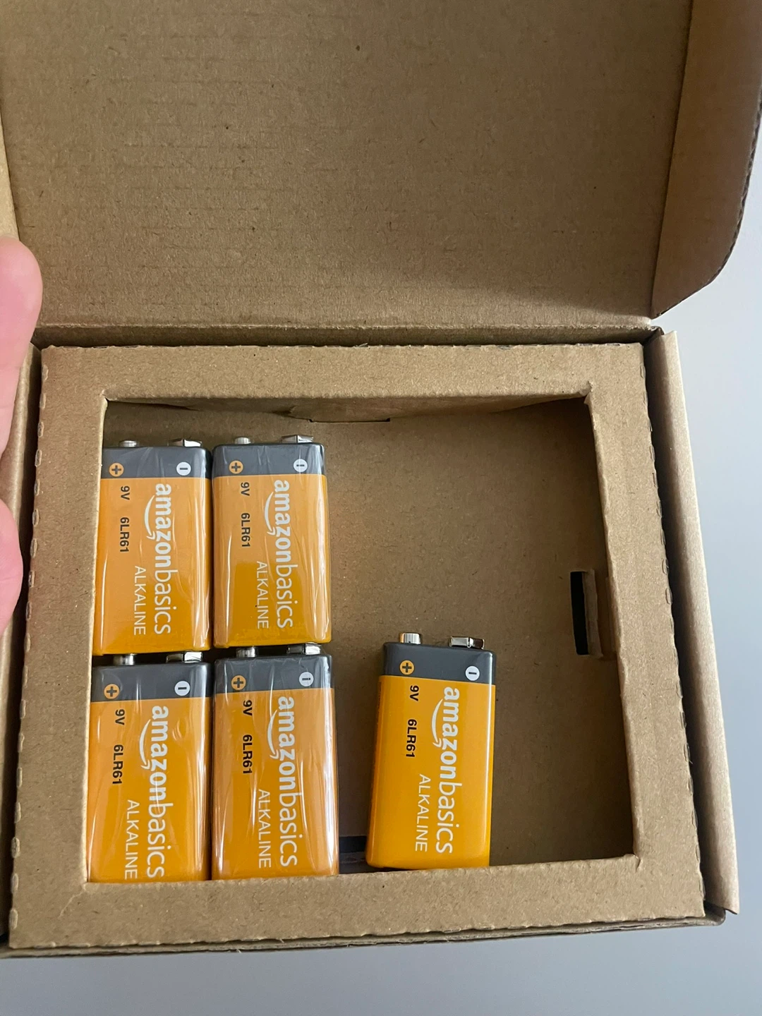 9V Alkaline Batteries (5-Pack)