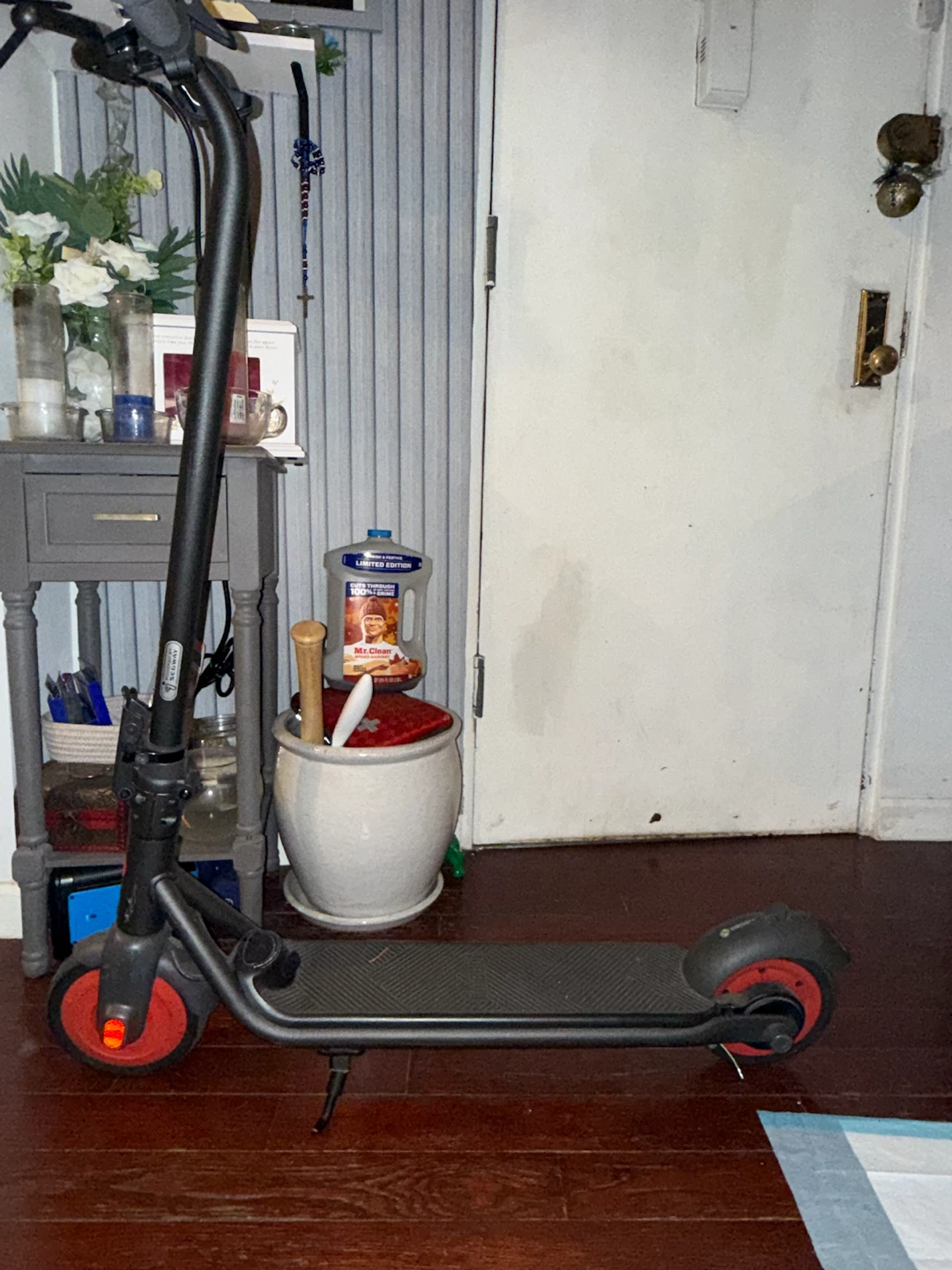 Segway Electric Scooter
