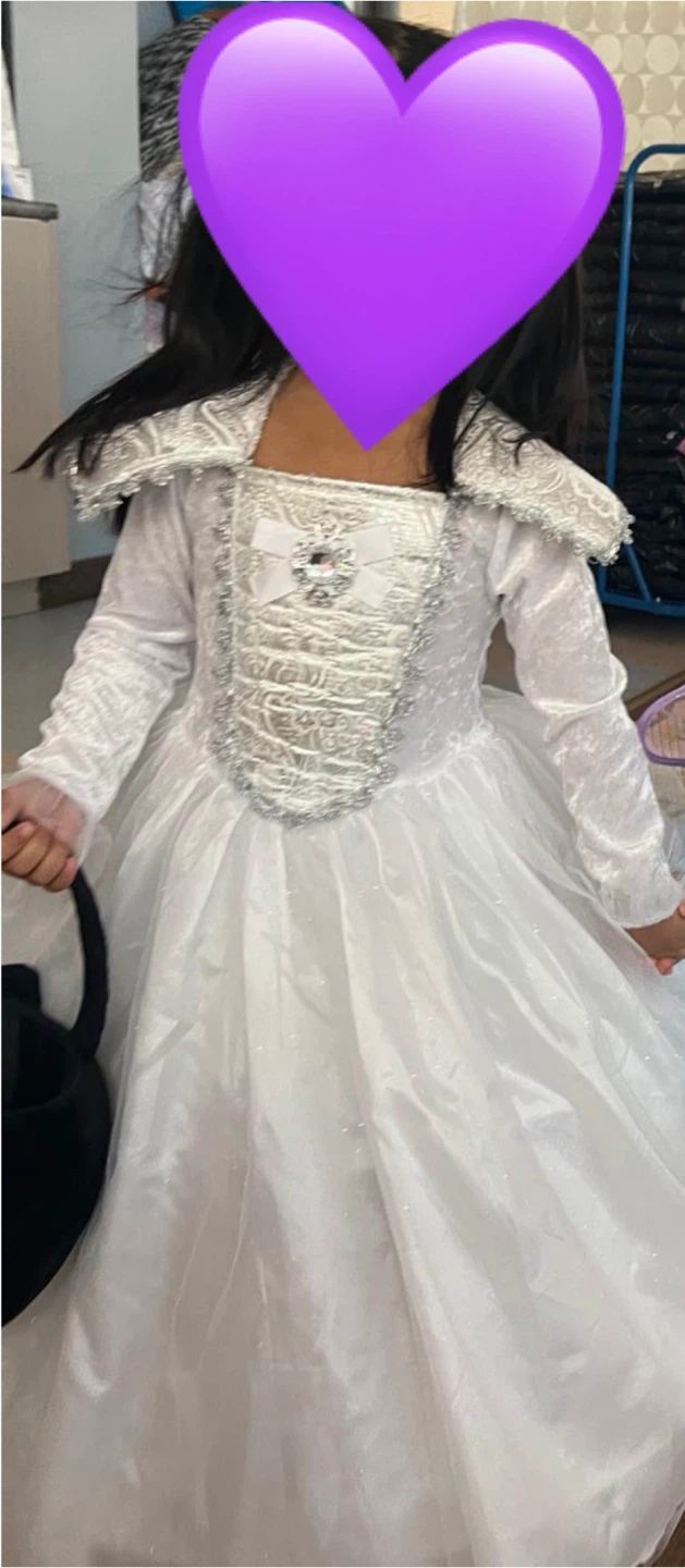 Princess Costume