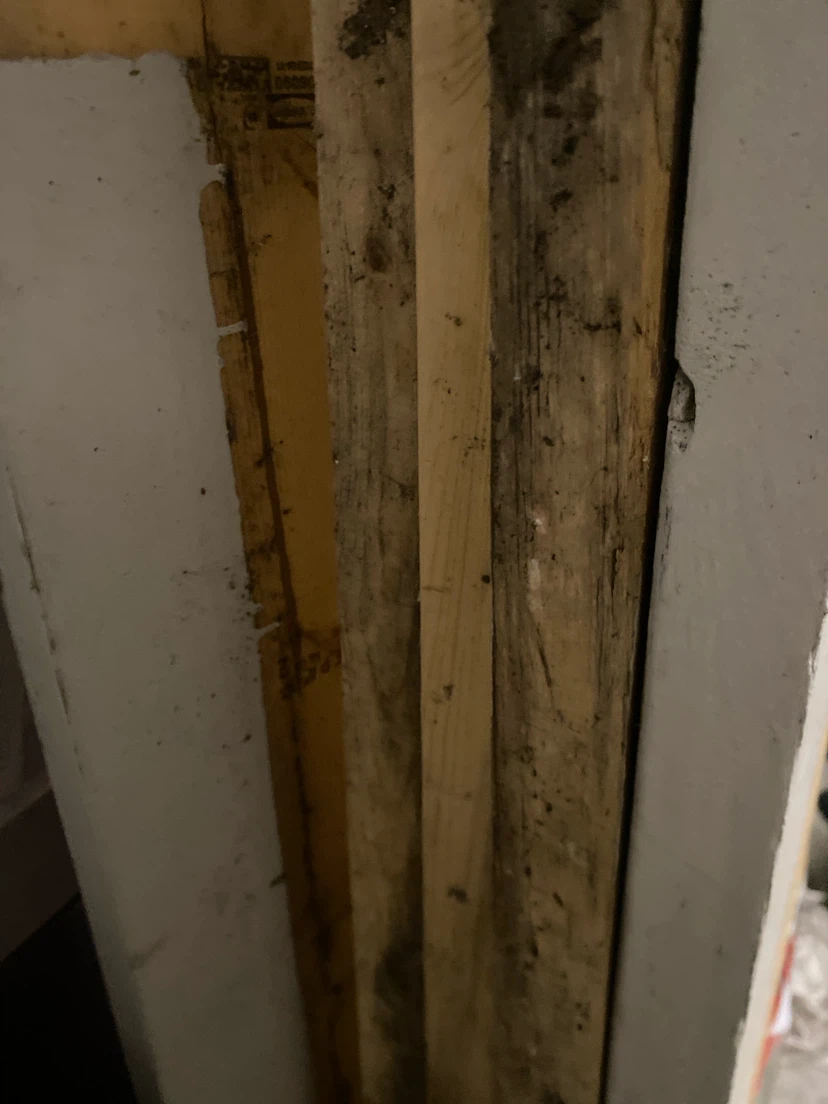 Assorted Plywood and Lumber Scraps
