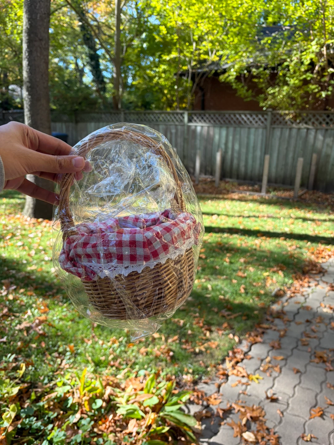 Wicker Woven Picnic Basket