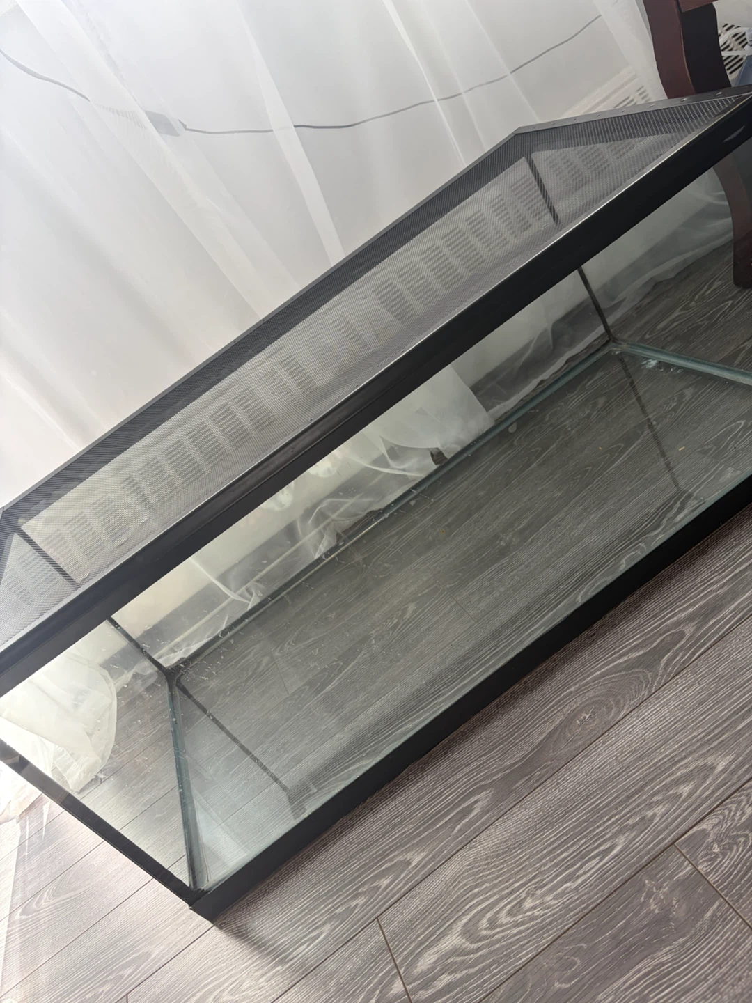 40 gallon tank with mesh lid