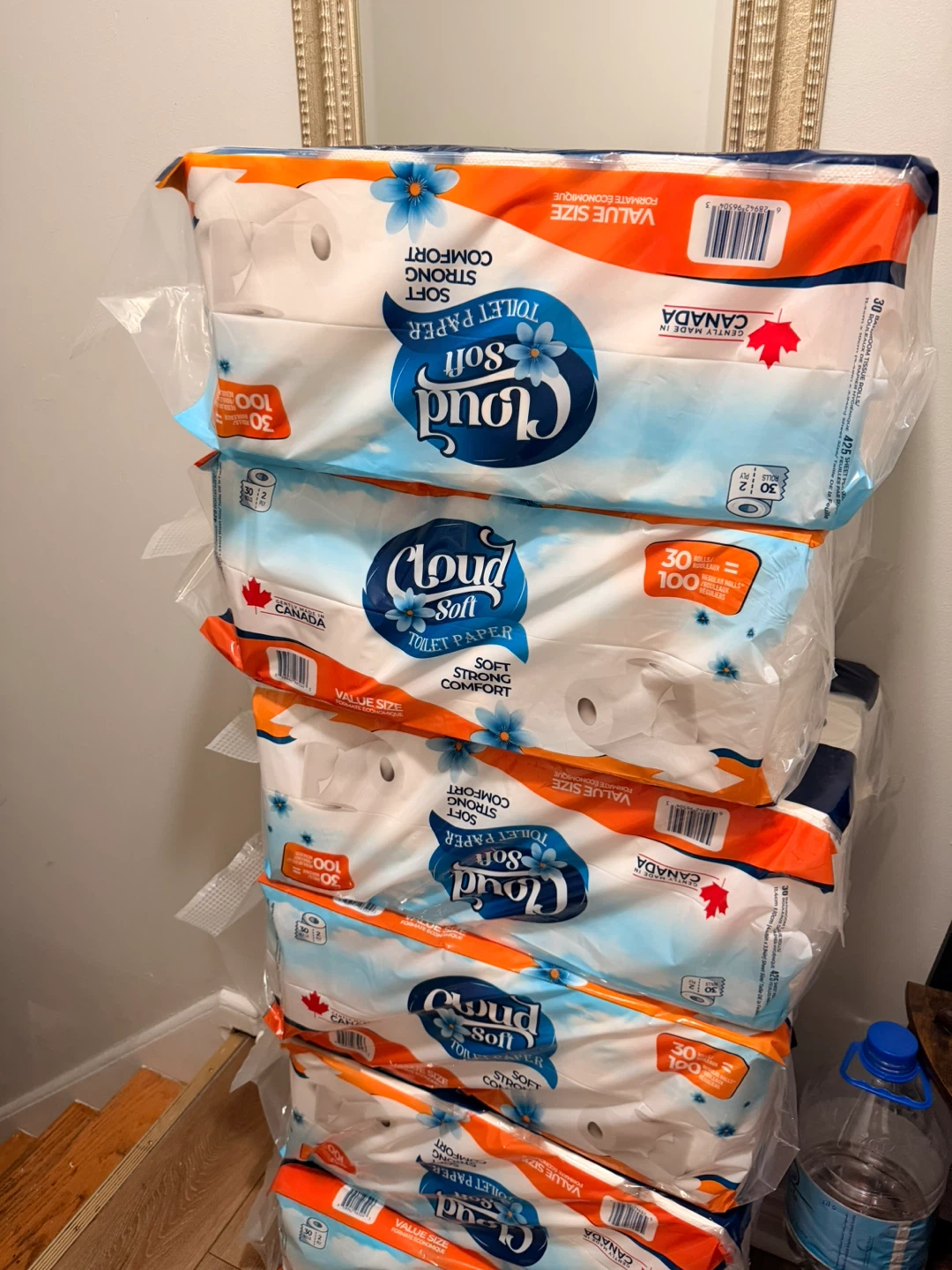 Cloud Soft Toilet Paper 30 Roll Packs - photo 3