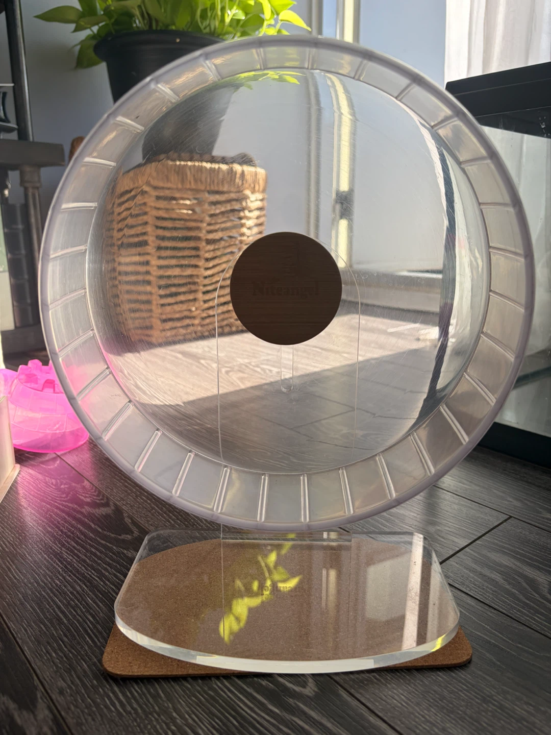 Niteangel hamster wheel