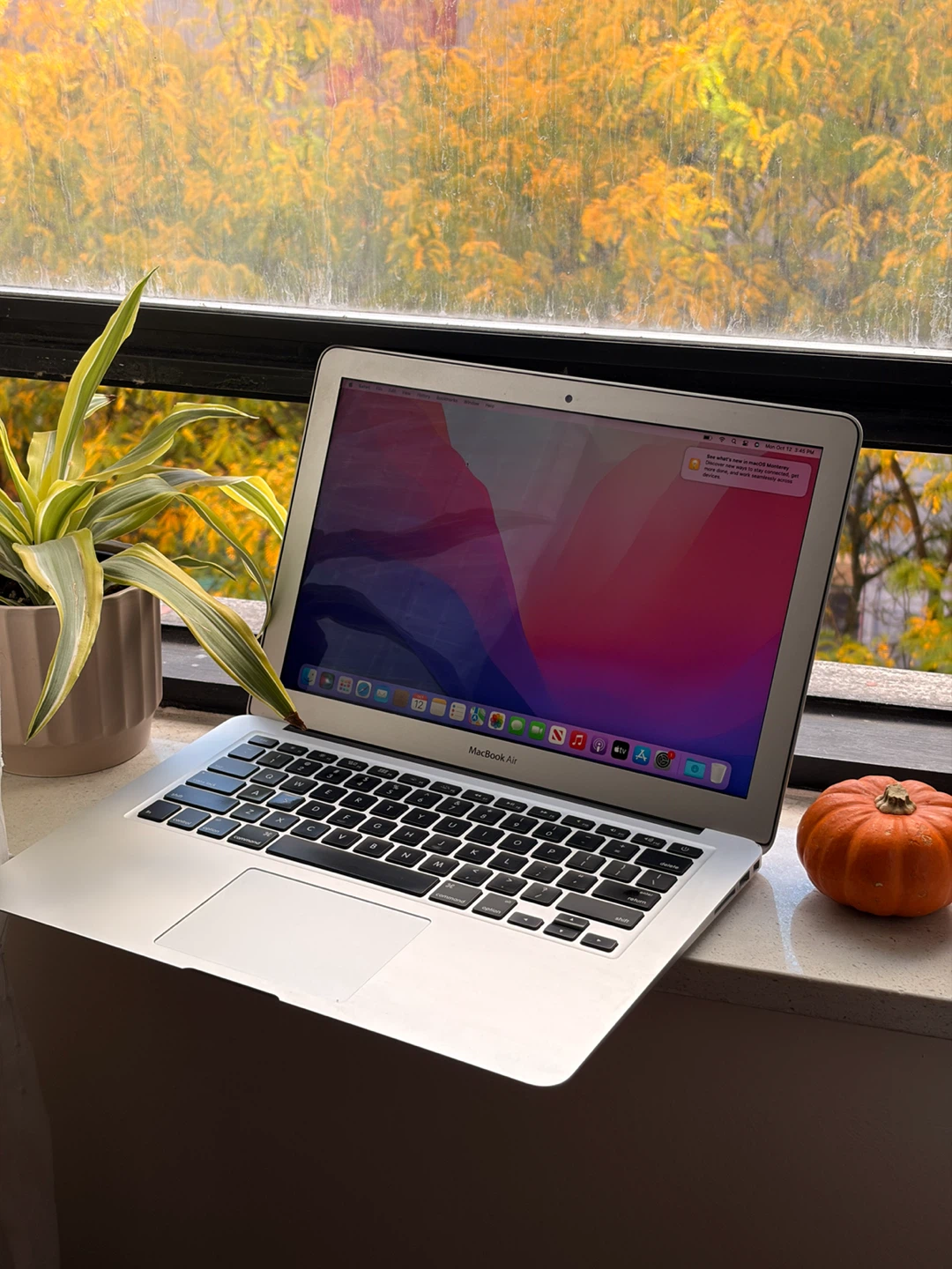 MacBook Air (13-inch, Mid 2014, i5) Perfect for students