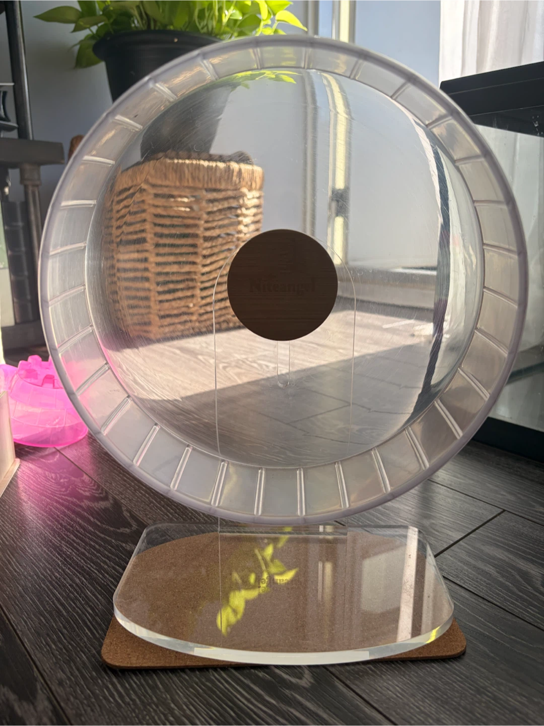 Niteangel Acrylic Hamster Exercise Wheel