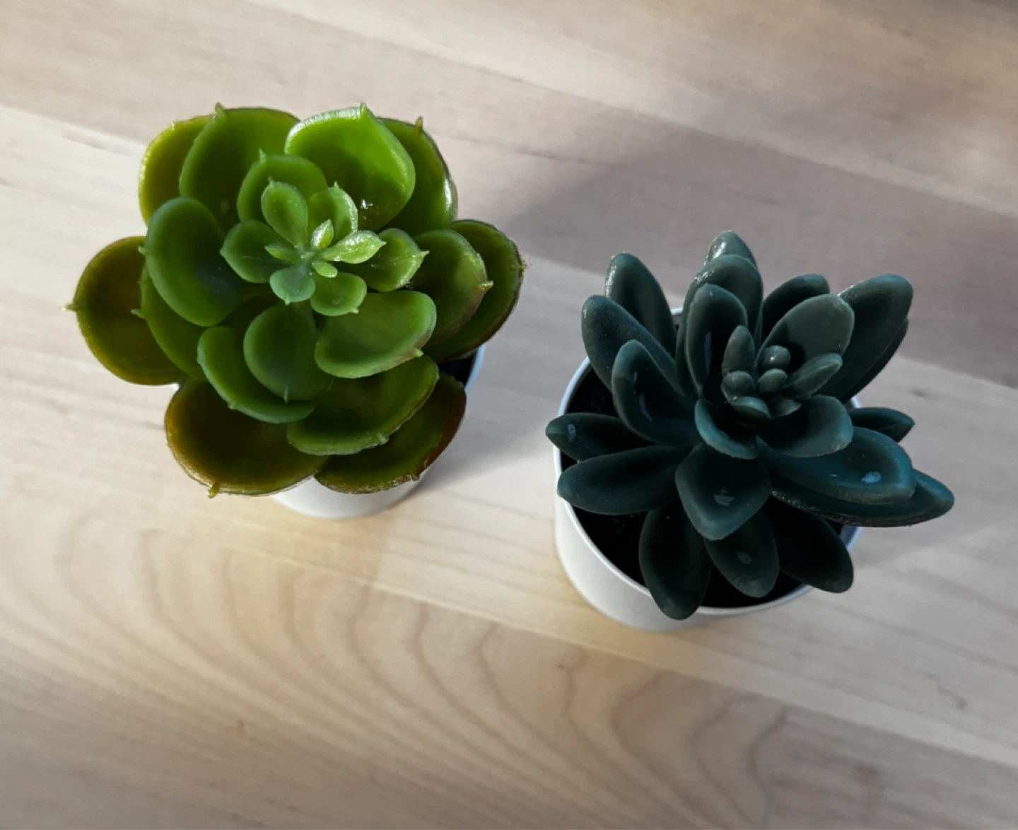 Set of two artificial succulents