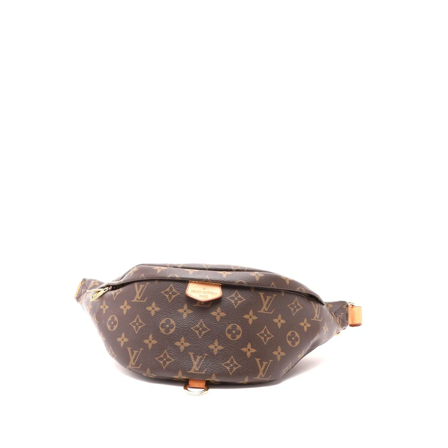 Louis Vuitton Monogram Bumbag