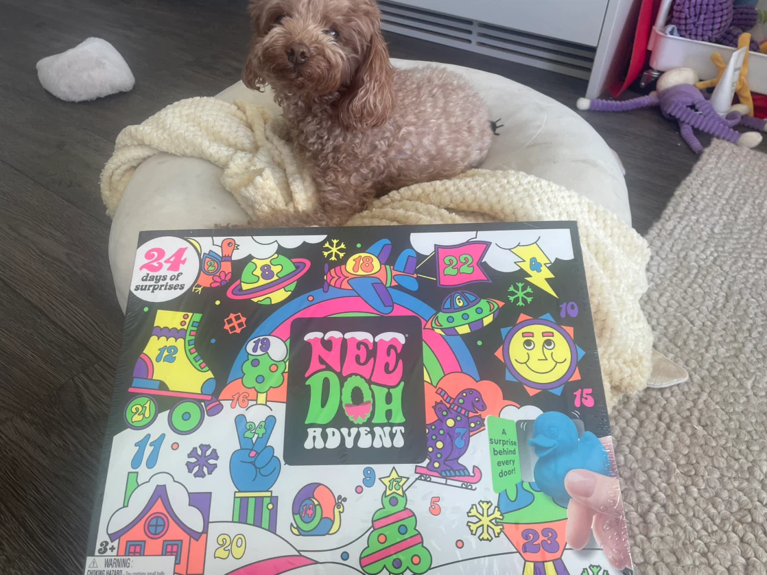 AUTHENTIC 2026 NeeDoh Advent Calendar - photo 3