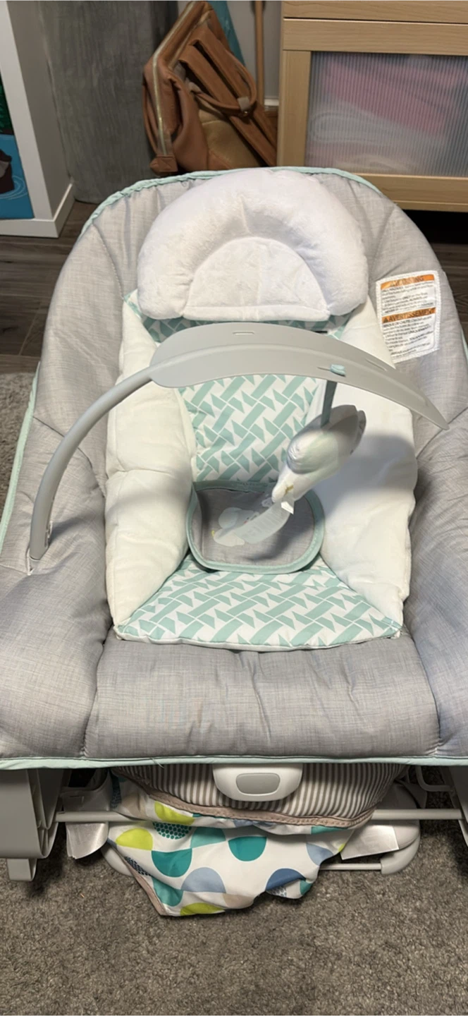 Ingenuity Baby Bouncer and Rocker