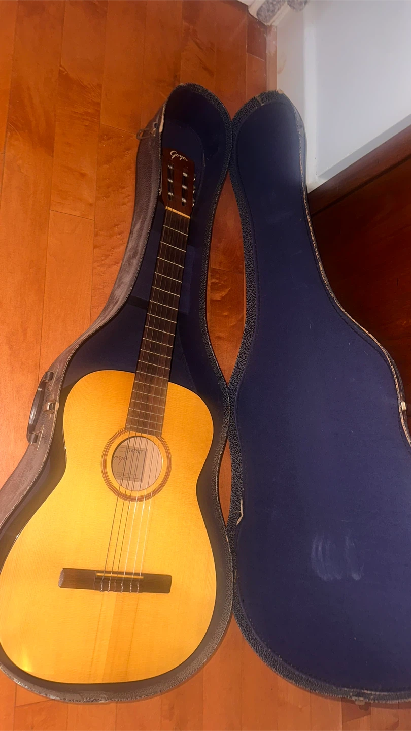 Goya G-10 Acoustic Guitar