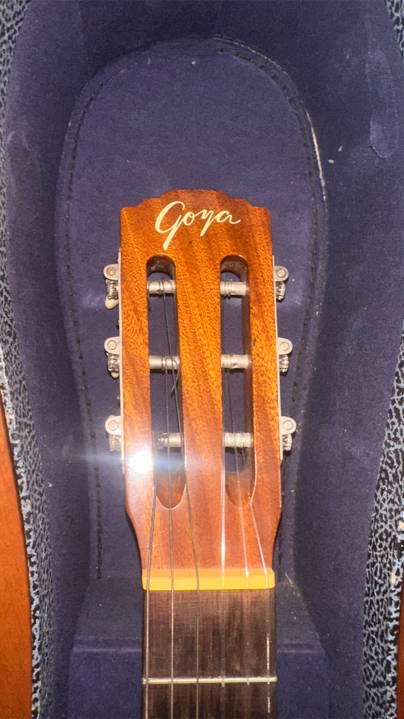Goya G-10 Acoustic Guitar - photo 2