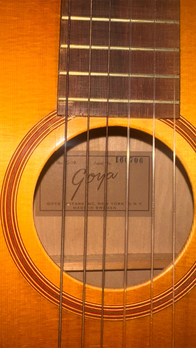 Goya G-10 Acoustic Guitar - photo 3