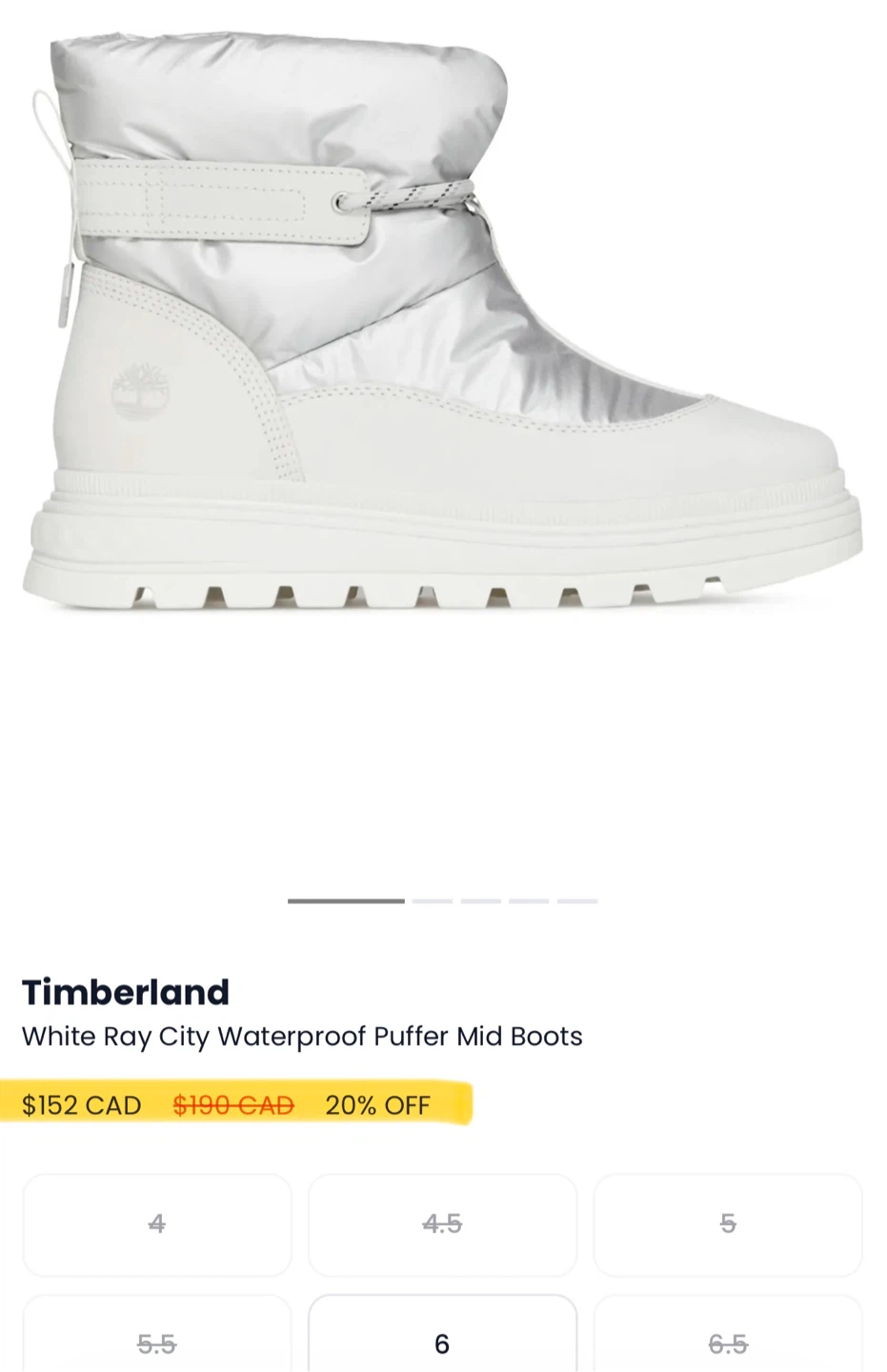 Winter boots