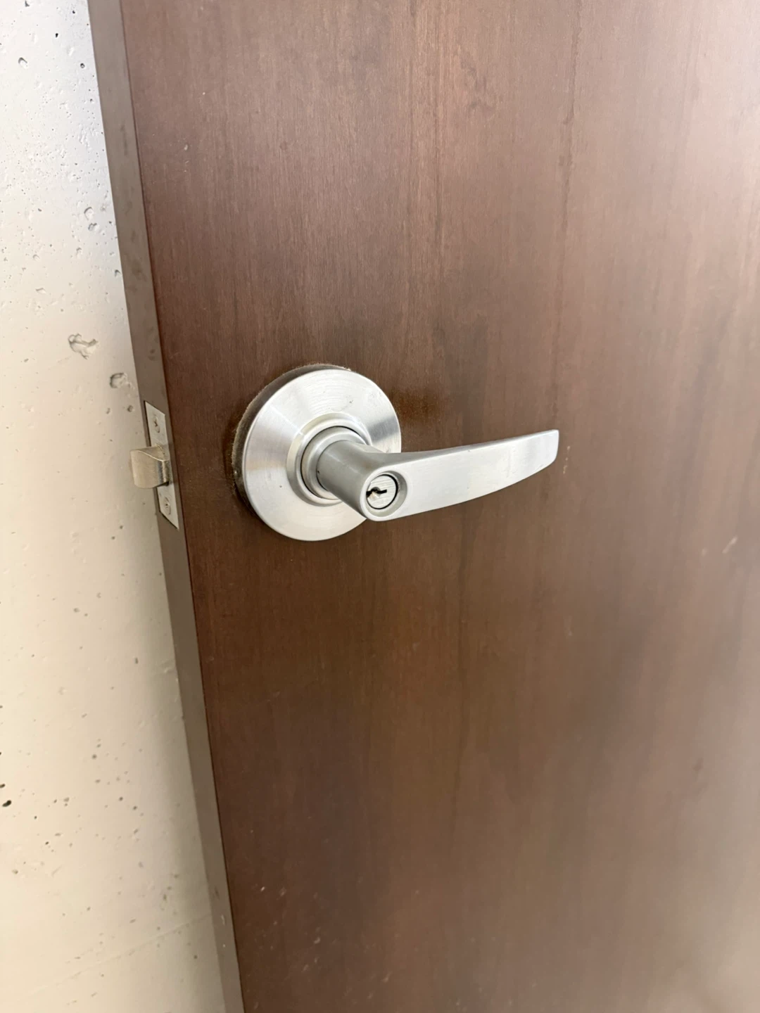 Solid Wood Door with Brushed Nickel Lever - photo 3