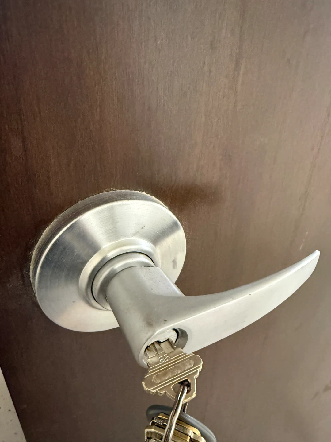 Solid Wood Door with Brushed Nickel Lever - photo 4