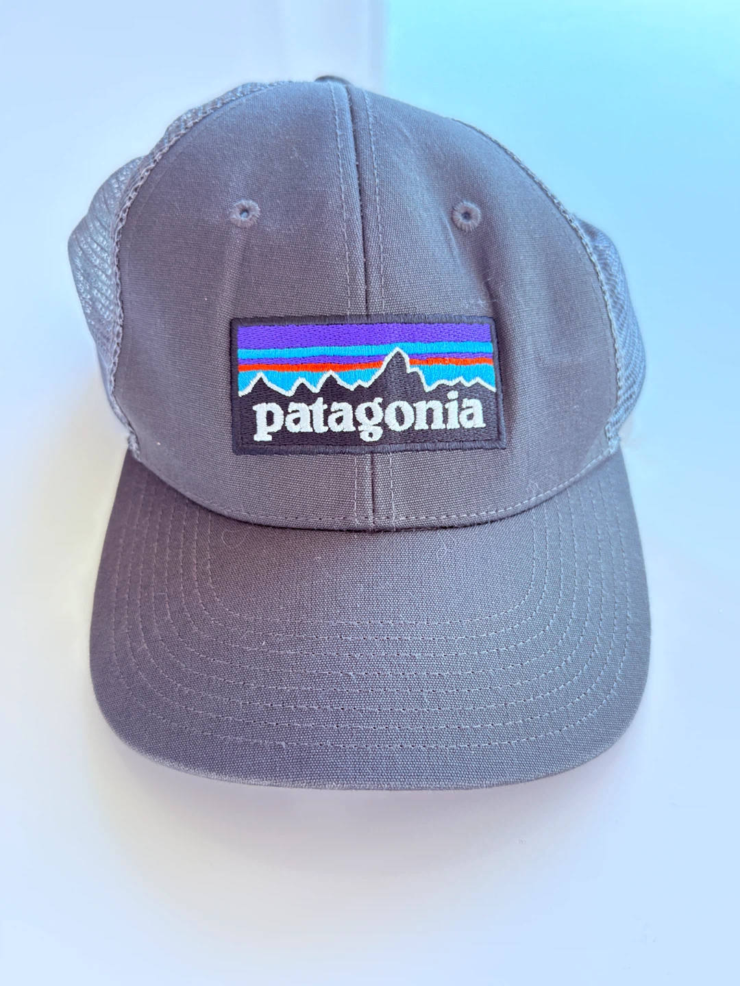 Patagonia Trucker Hat