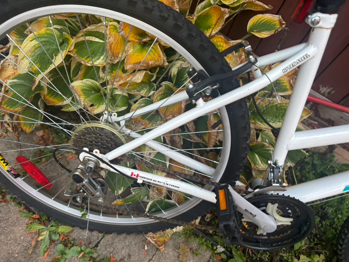 Next Challenge R Mountain Bike - photo 2