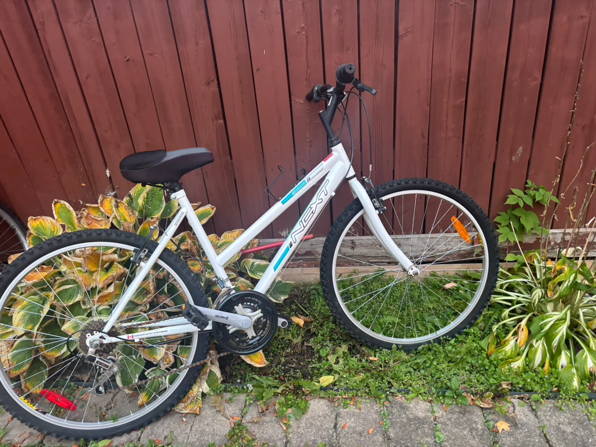 Next Challenge R Mountain Bike - photo 4