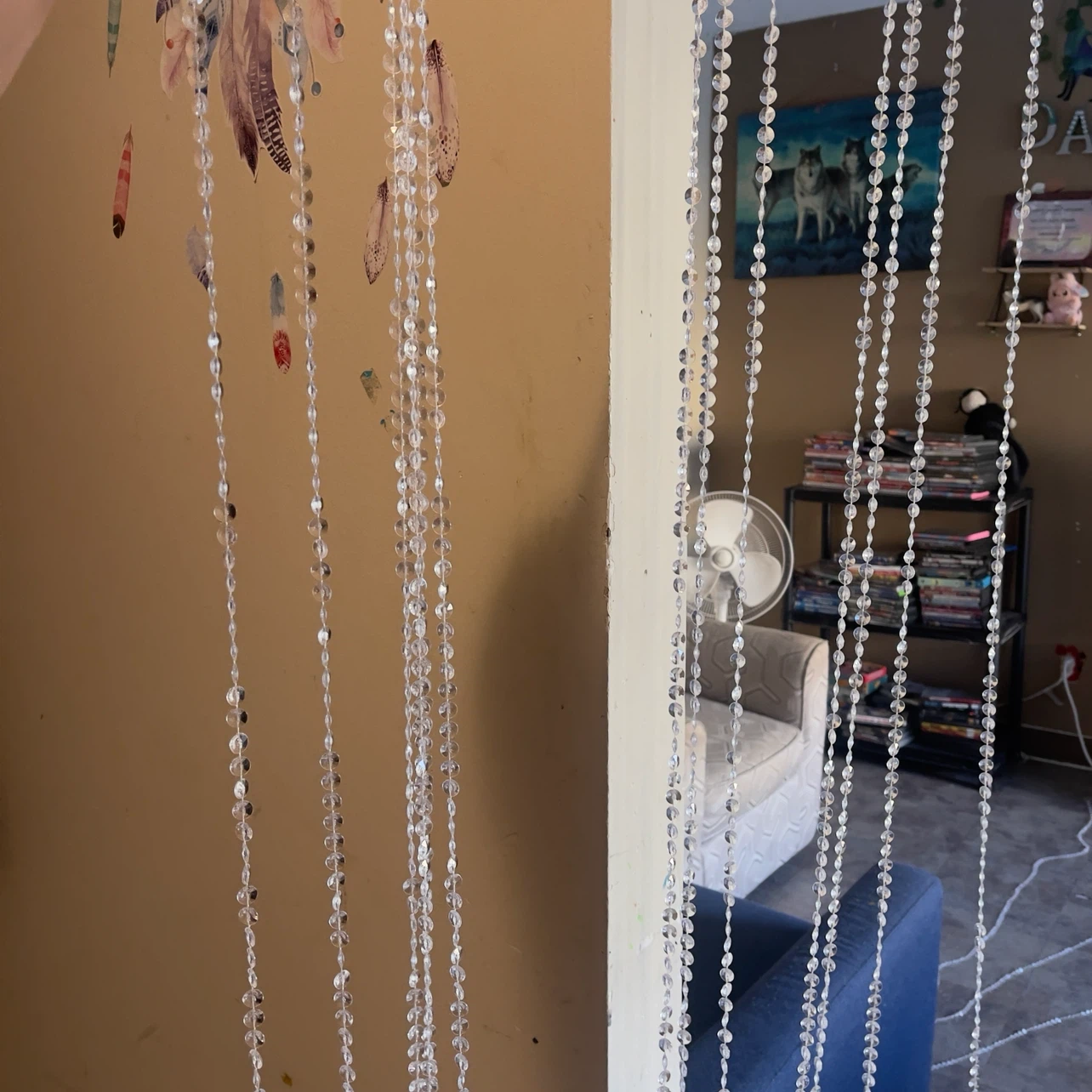 Beaded Curtain with Feather Decor