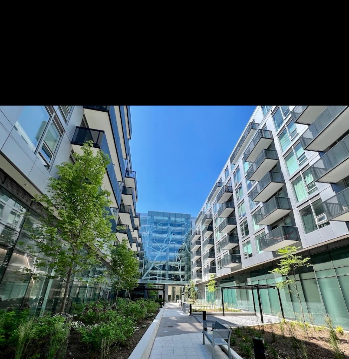 Condo for rent - photo 2
